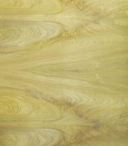 Praline Mappa Burl Veneer