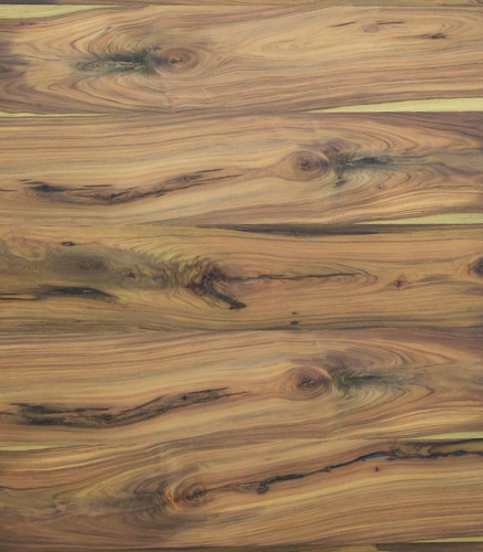 Praline Mappa Burl Veneer