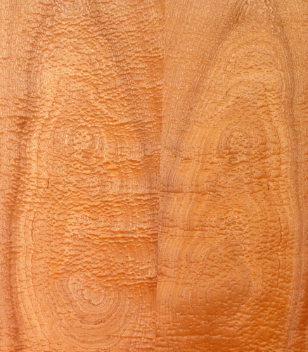 Bouncing Sapele Pomelle